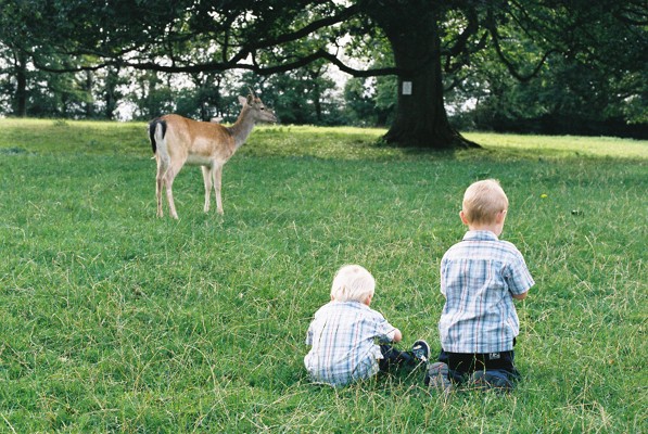 Random shot of the kids
